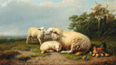 A Schplendid Guide to the Wonders of Wool