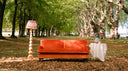 The Natural History of the Sofa