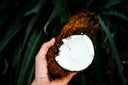 A Schplendid Guide to Coconut Husk