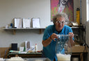 A Schplendid Guide to Down: its history, science, uses and delights